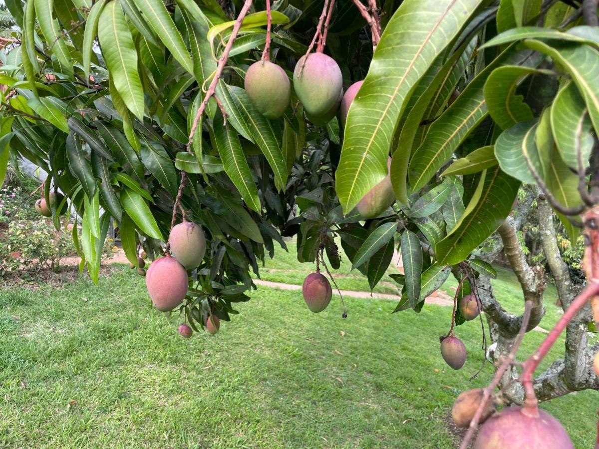 Finca Hotel Villa Camila Copacabana Eksteriør billede